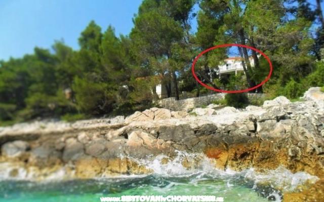 Appartements Marica Pecotić  - Unterkunft Korcula Kroatien