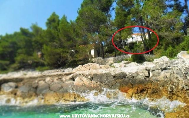 Ferienwohnungen Marica P. - Unterkunft Korcula Kroatien