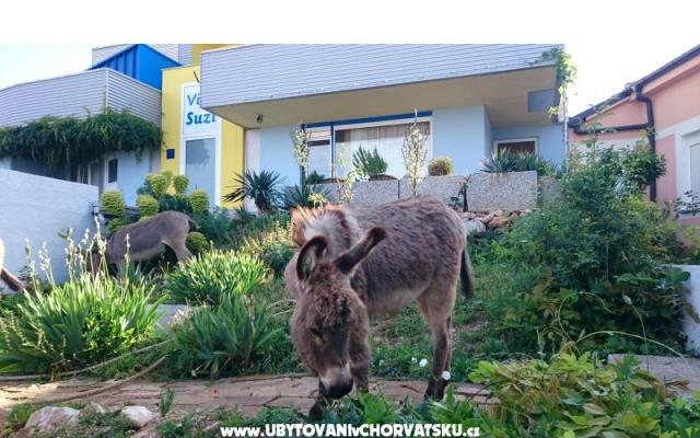 Villa Suzi - Unterkunft Kraljevica Kroatien