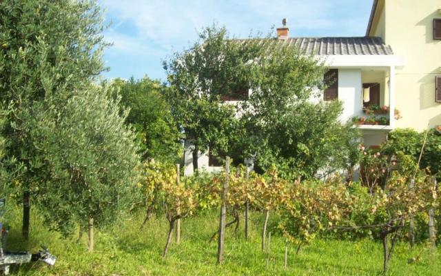 Appartements Vasilić - Unterkunft Insel Krk Kroatien