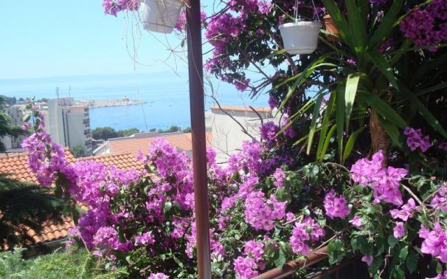 Apartment Dobrinić - Unterkunft Makarska Kroatien