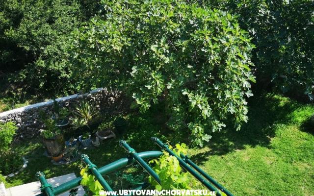Appartements Garden paradise - Unterkunft Makarska Kroatien