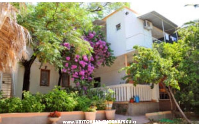 Appartements Oaza - Unterkunft Makarska Kroatien