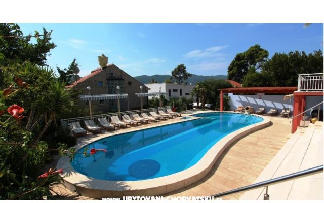 Appartements Villa Mediterrane - Unterkunft Orebic – Peljesac Kroatien