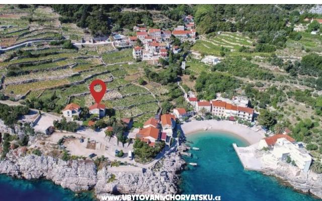 Two olive trees - Unterkunft Orebic – Peljesac Kroatien