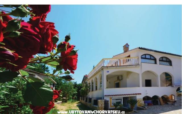 Ferienwohnungen Petrović - Unterkunft Insel Pag Kroatien