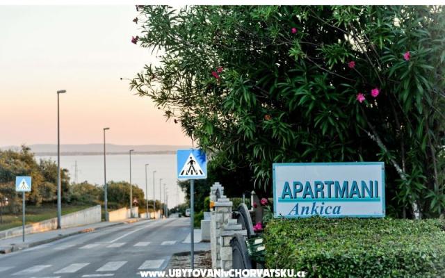 Appartements Ankica - Unterkunft Petrcane Kroatien