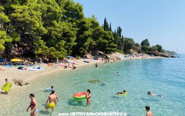 Villa Ana , one min walk to beach - Unterkunft Pirovac Kroatien
