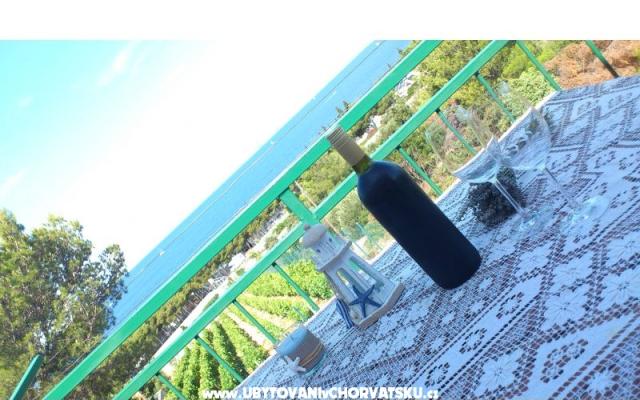 Appartements vila Diana - Unterkunft Primosten Kroatien