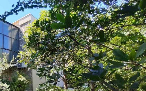 Apartment Zora Pula - Unterkunft Pula Kroatien