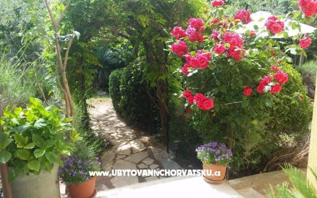 Vila Arboretum Šibenik - Unterkunft Sibenik Kroatien