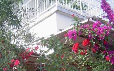 Appartements Zdravka -15% - Unterkunft Insel Solta Kroatien