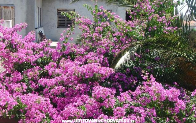 Apartment Mira - Unterkunft Split Kroatien