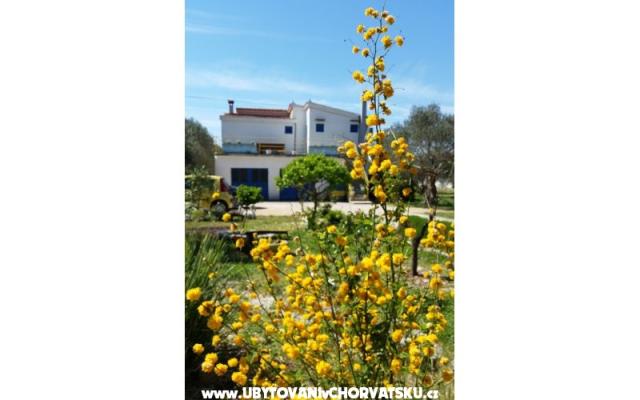 Apartment Marin - Unterkunft Sveti Petar Kroatien