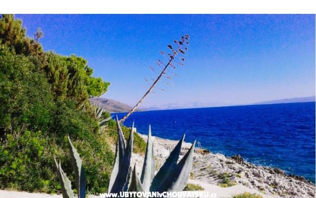 Goga Appartements - Unterkunft Trogir Kroatien