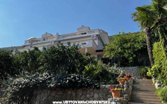 Vila Nautilus luxury Ferienwohnungen - Unterkunft Trpanj – Peljesac Kroatien