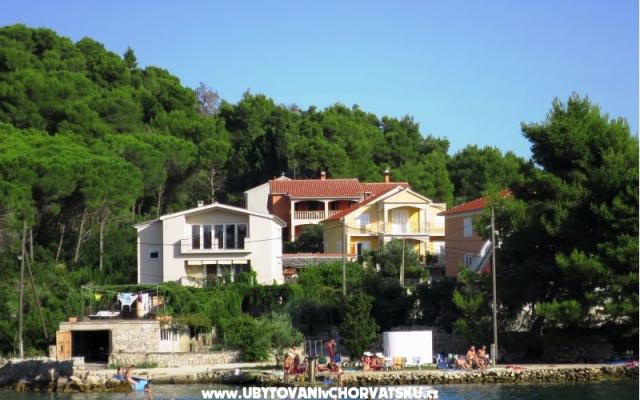 Appartements Tereza - Unterkunft Insel Ugljan Kroatien