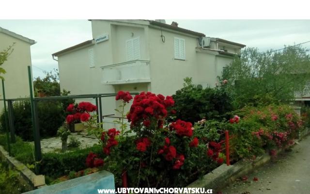Appartements Tomislav - Unterkunft Insel Ugljan Kroatien