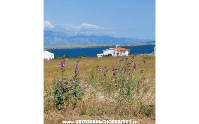 Appartements Mišković - Unterkunft Insel Vir Kroatien