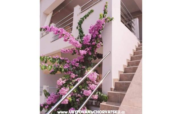 Appartements Maja - Unterkunft Insel Vir Kroatien
