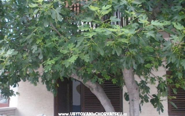 Appartements  Smokva   - Unterkunft Vodice Kroatien