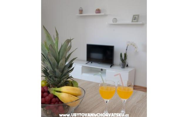 Apartment "Roko" - Unterkunft Zadar Kroatien
