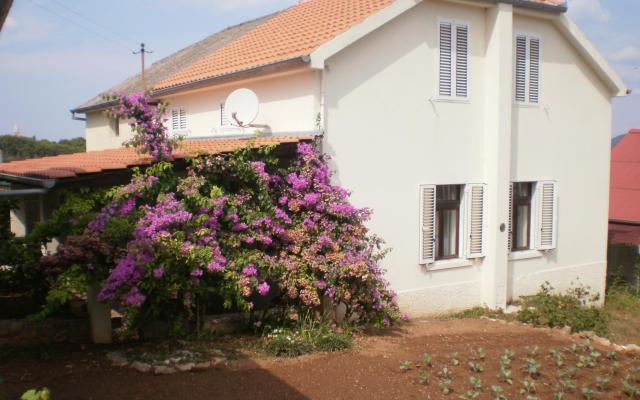 Haus Branka - Unterkunft Zadar Kroatien