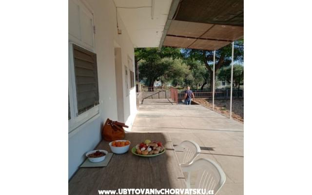 Apartment Viter - Unterkunft Zaostrog Kroatien