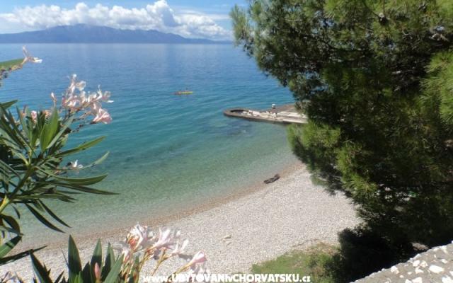 Appartements Dragičević - Unterkunft Zaostrog Kroatien
