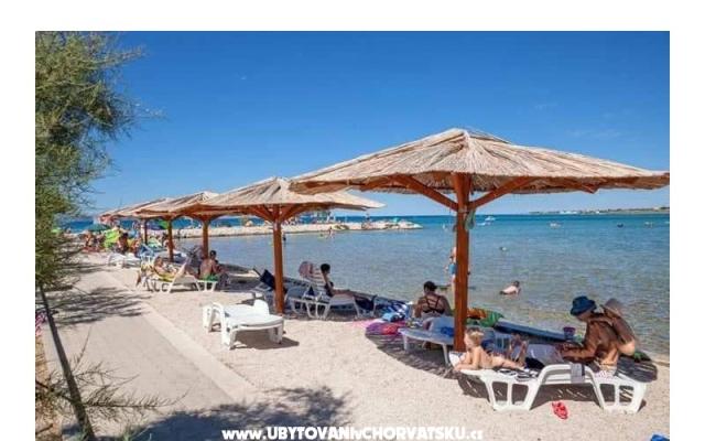 Appartements Ana Ercegović  - Unterkunft Zaton Kroatien