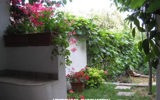 Appartements Brajković - Unterkunft Zivogosce Kroatien