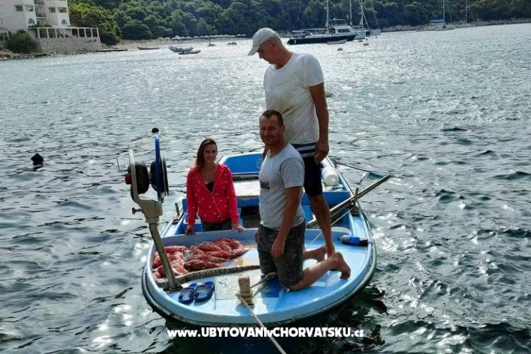 Appartements Ivo Mljet – foto 5
