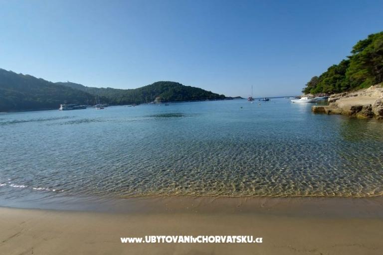 Appartements Ivo Mljet – foto 9