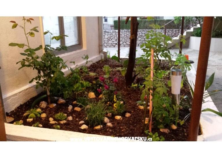 Apartment ANTON – foto 3