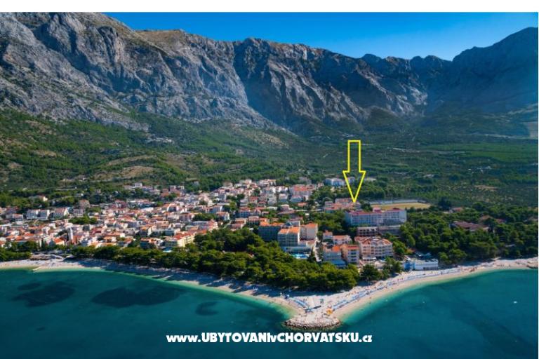 Ruža – foto 2