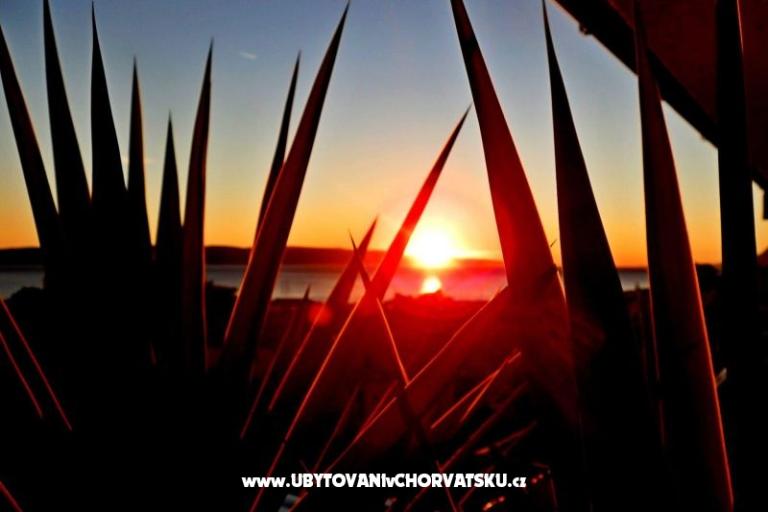 Apartment Rose – foto 14