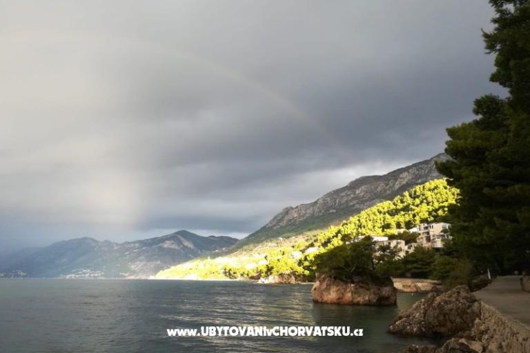 Apartment Rose – foto 17