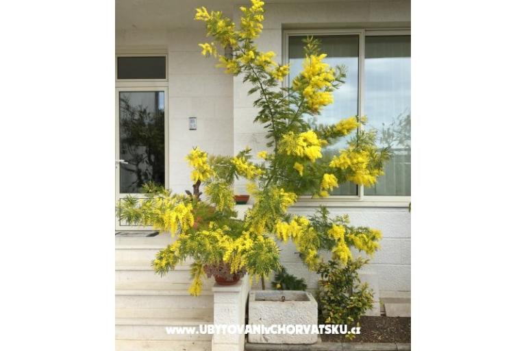 Haus Grazia – foto 7