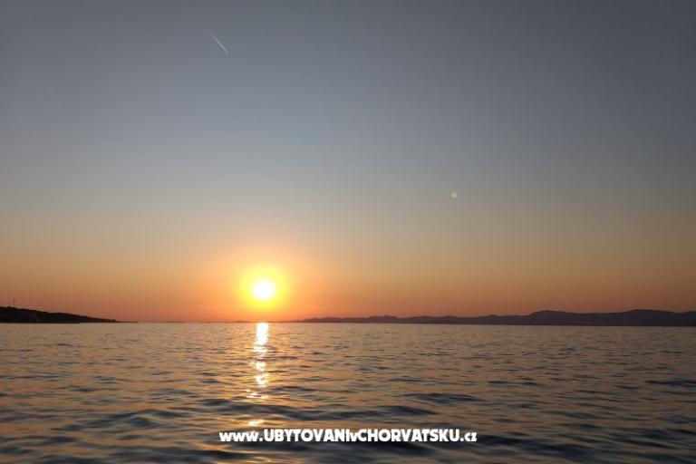  SARIC – foto 11