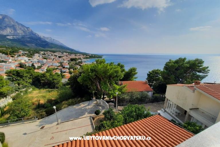  SARIC – foto 14