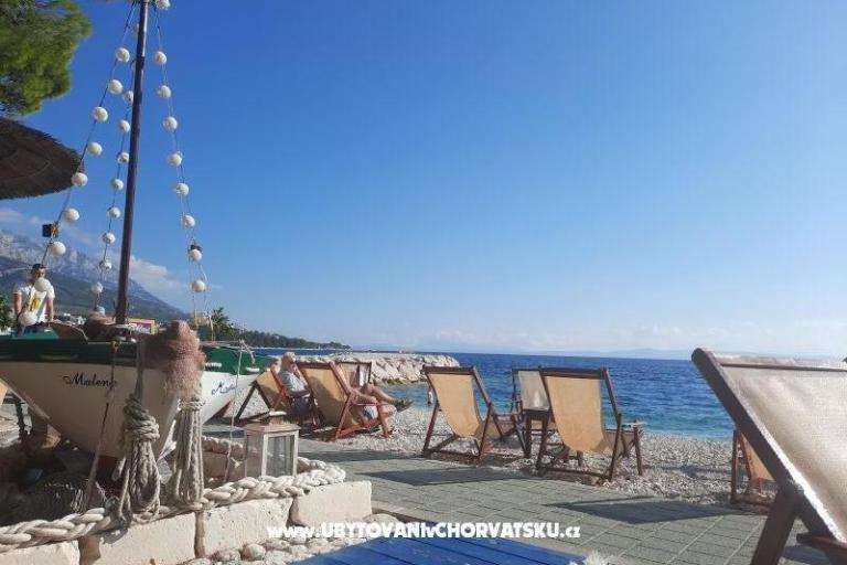  SARIC – foto 17