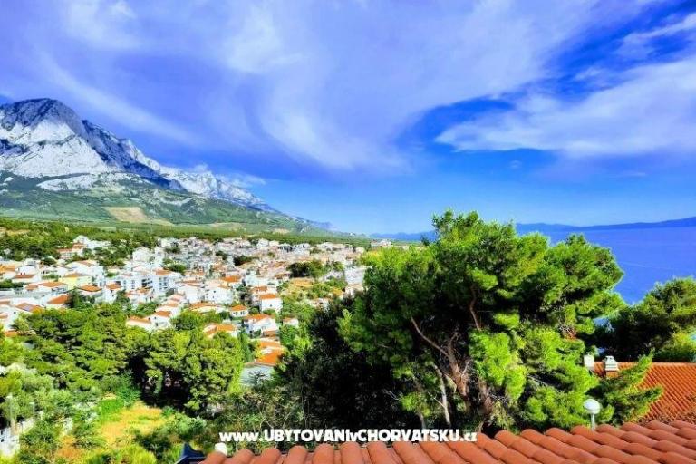  SARIC – foto 19