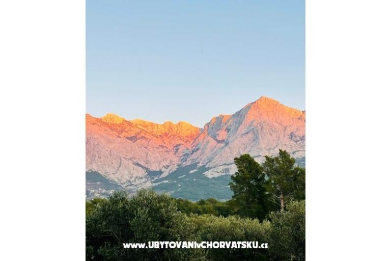  SARIC – foto 23