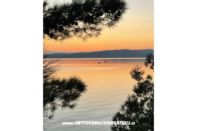  SARIC – foto 24