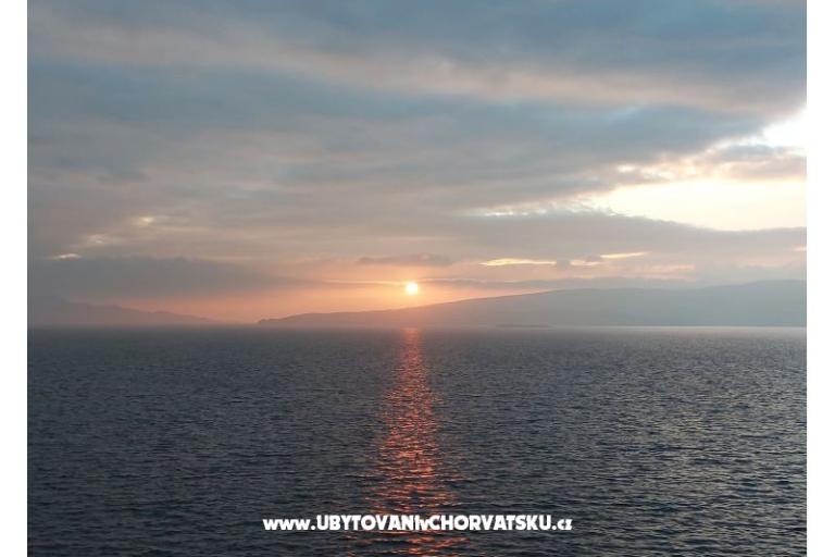  SARIC – foto 25