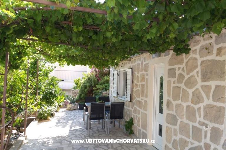  SARIC – foto 28