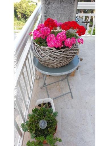  SARIC – foto 33