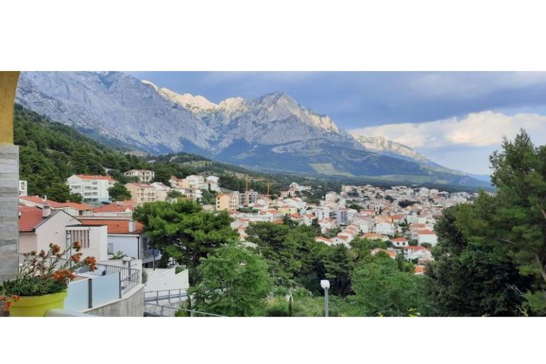  SARIC – foto 37