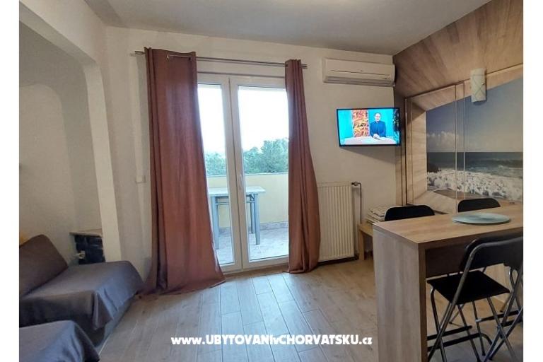  SARIC – foto 38