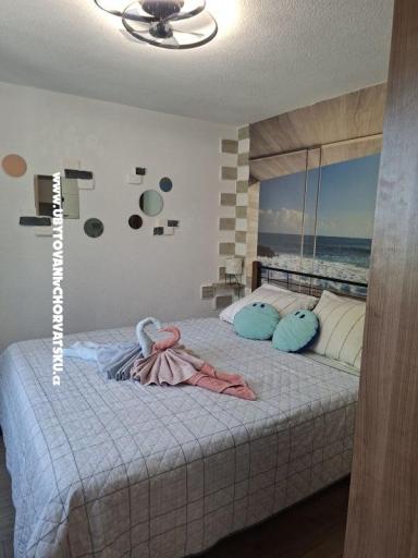  SARIC – foto 54